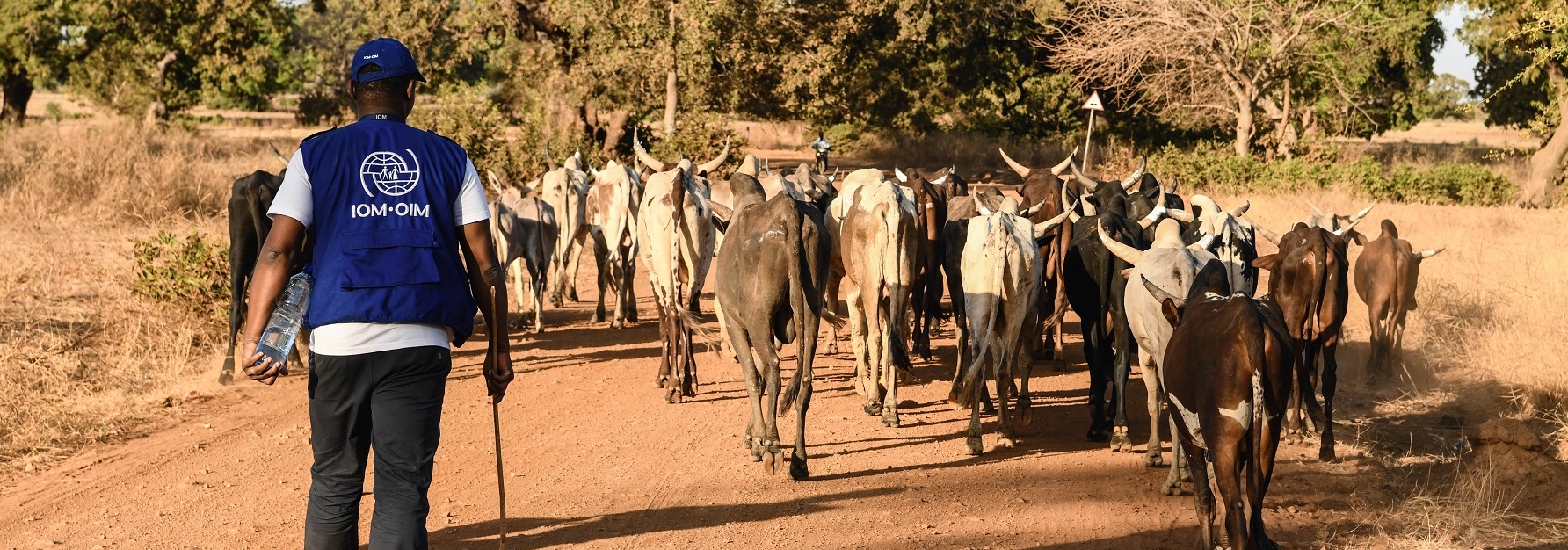 Monitoring of transhumant herds in Burkina Faso