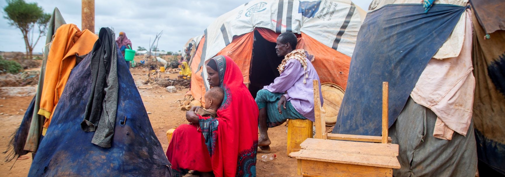 Somalia Crisis Response Plan 2020